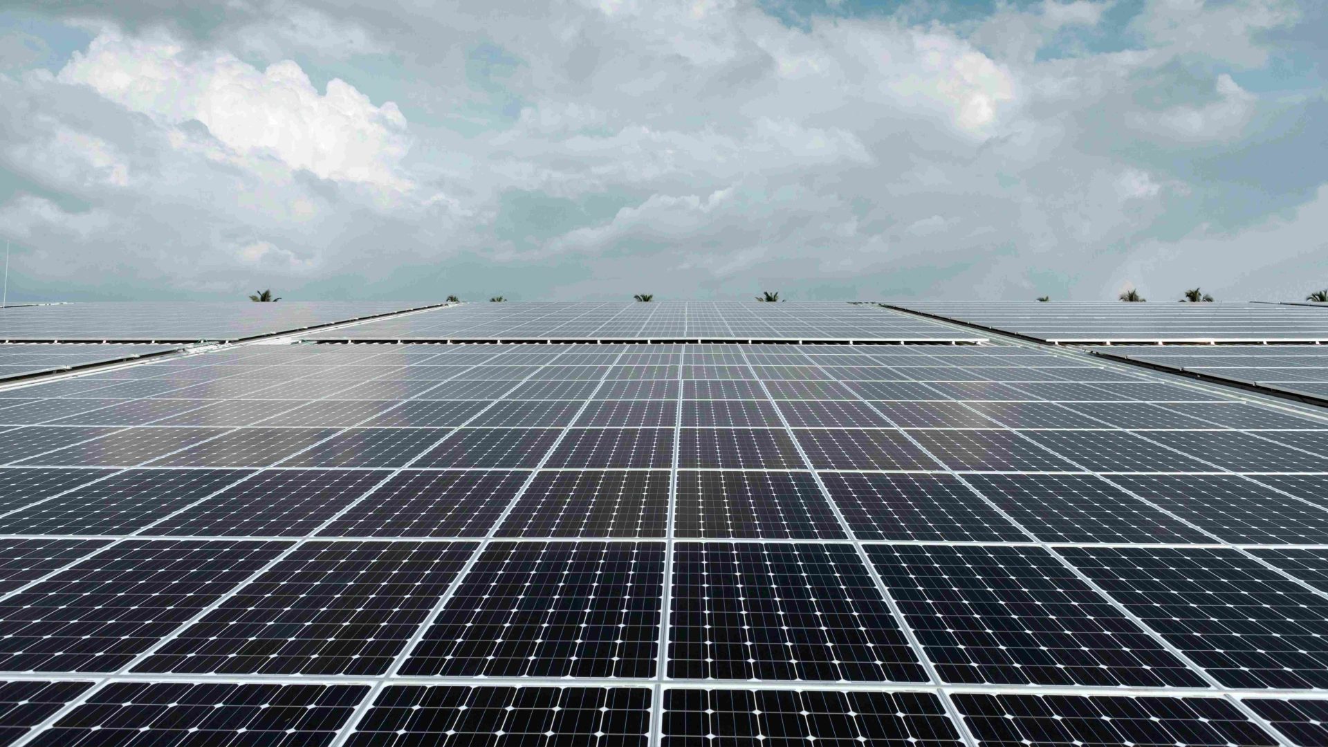 solar panels